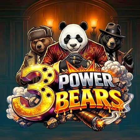 3 Power Bears