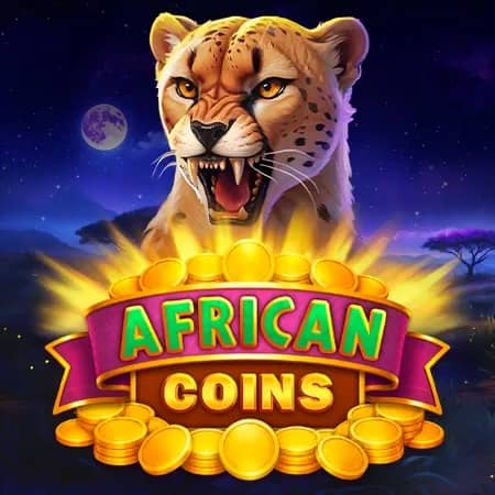African Coins Hold And Spin