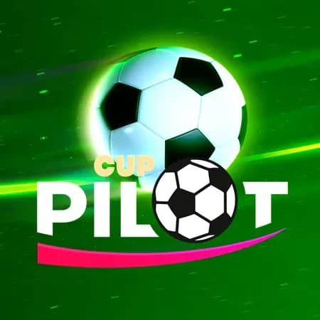 Pilot Cup
