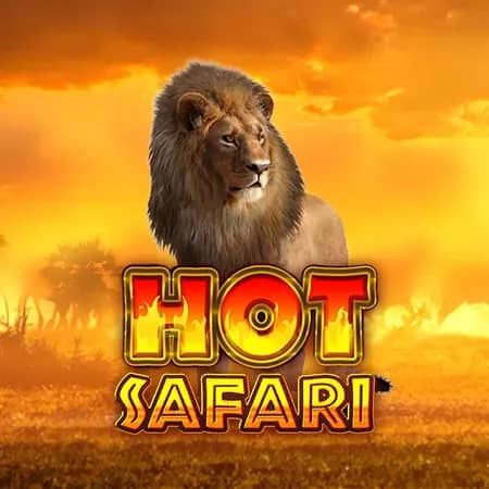 Hot Safari