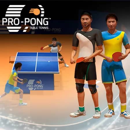 Pro-Pong Table Tennis
