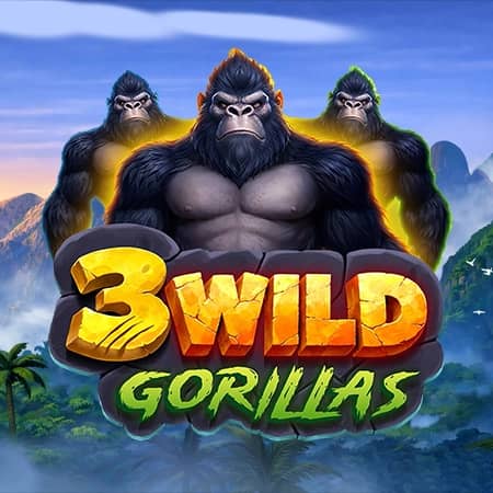 3 Wild Gorillas