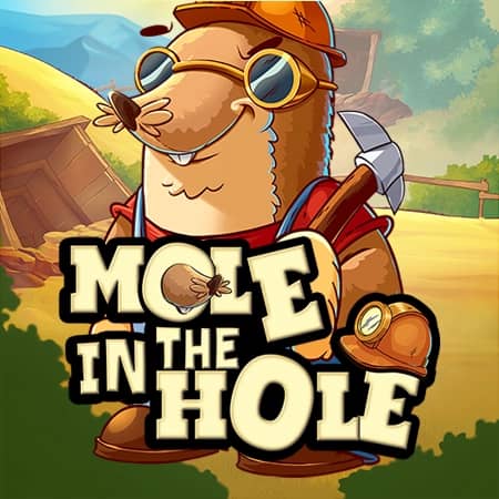 Mole in the Hole