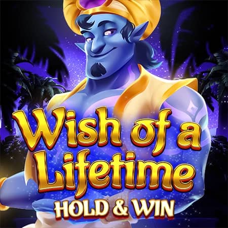 Wish of a Lifetime: Hold & Win