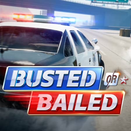 Busted Or Bailed