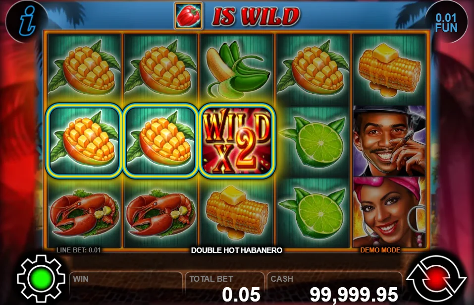 Double Hot Habanero slot game screenshot