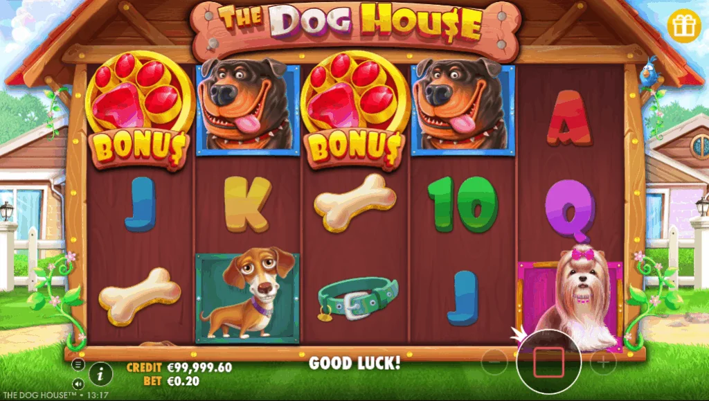 how to play The Dog House slot game