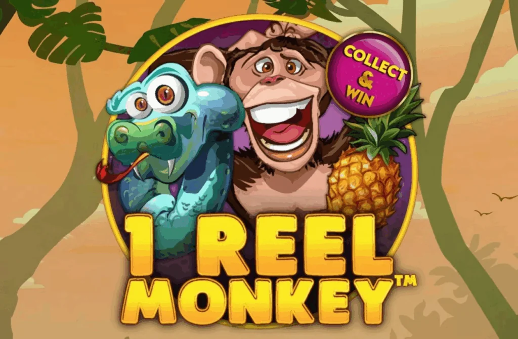 1 Reel slot features and rtp