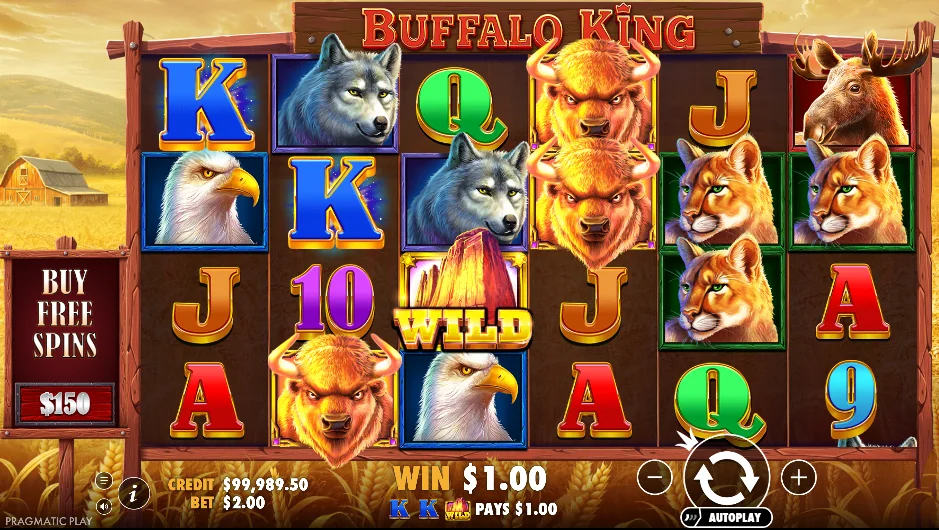 Buffalo King slot features and rtp